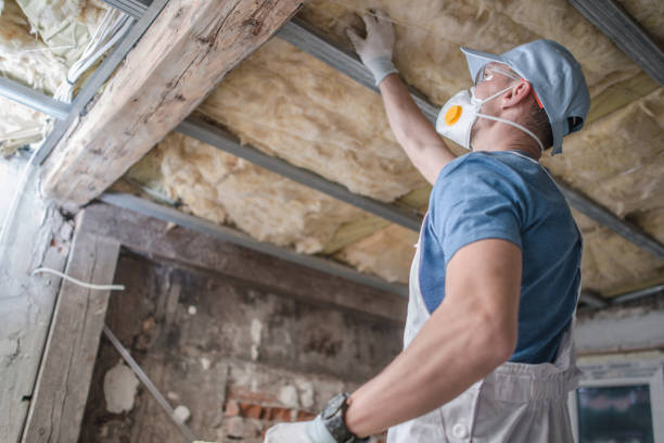 Best Insulation Repair Services  in Farmington, IL