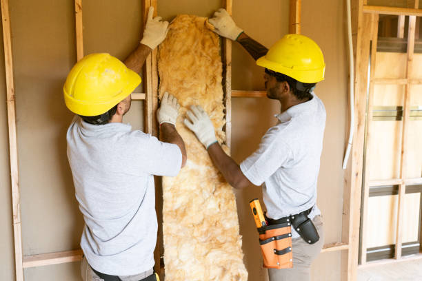 Best Affordable Insulation Services  in Farmington, IL