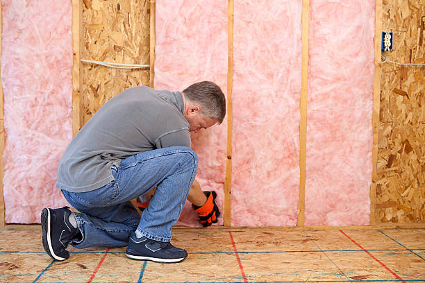 Insulation Replacement Services in Farmington, IL