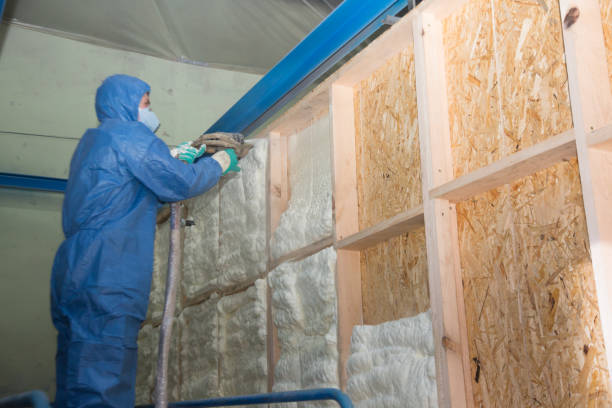 Best Local Insulation Services  in Farmington, IL