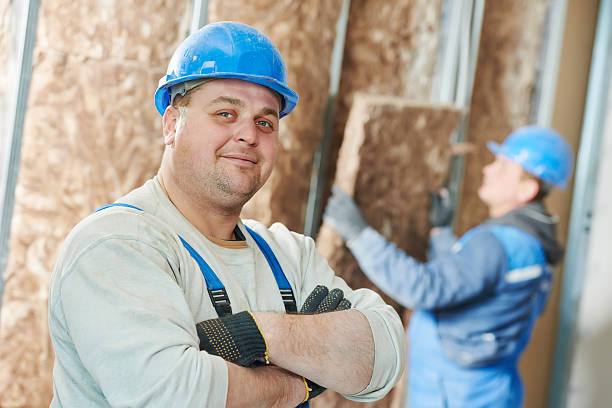 Best Insulation Repair Services  in Farmington, IL